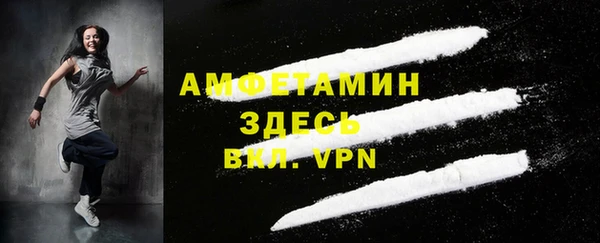 стаф Дмитровск