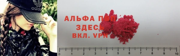 ешки Дмитров