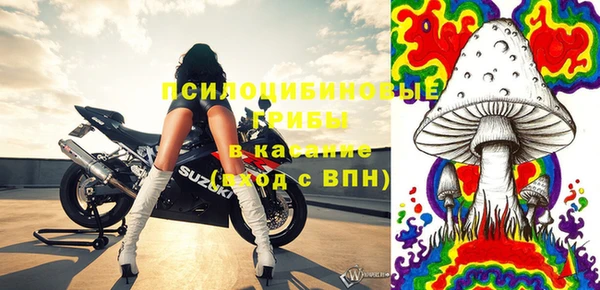 стаф Дмитровск