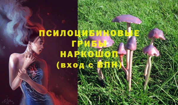 ешки Дмитров