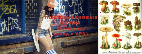 ешки Дмитров