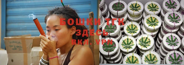 стаф Дмитровск