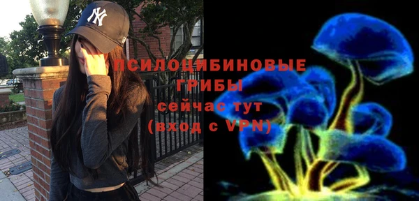 стаф Дмитровск