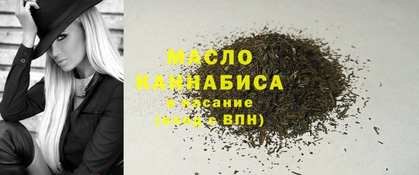 гашик Гусев