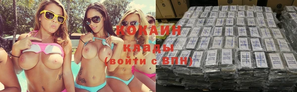 стаф Дмитровск