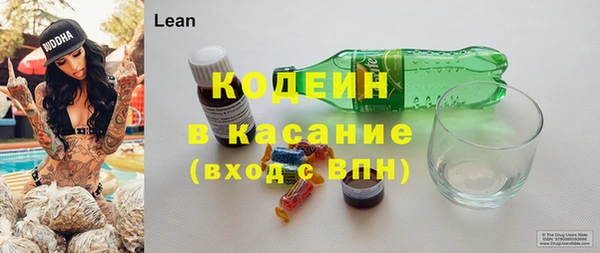 стаф Дмитровск