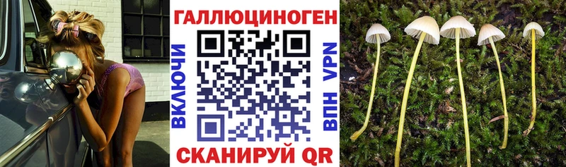 Купить где  Татарск  Галлюциногенные грибы Cubensis 
